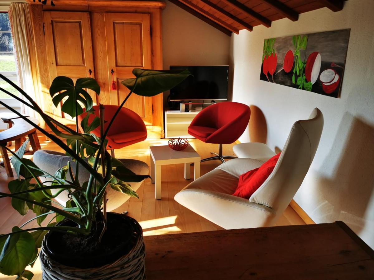 Marmottin Apartment Lucerne Ngoại thất bức ảnh