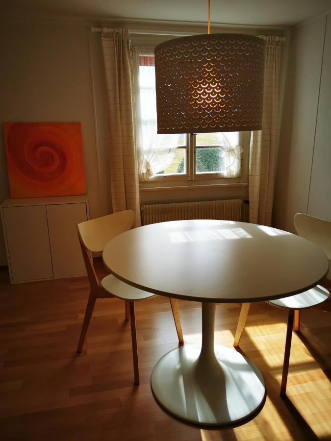 Marmottin Apartment Lucerne Ngoại thất bức ảnh
