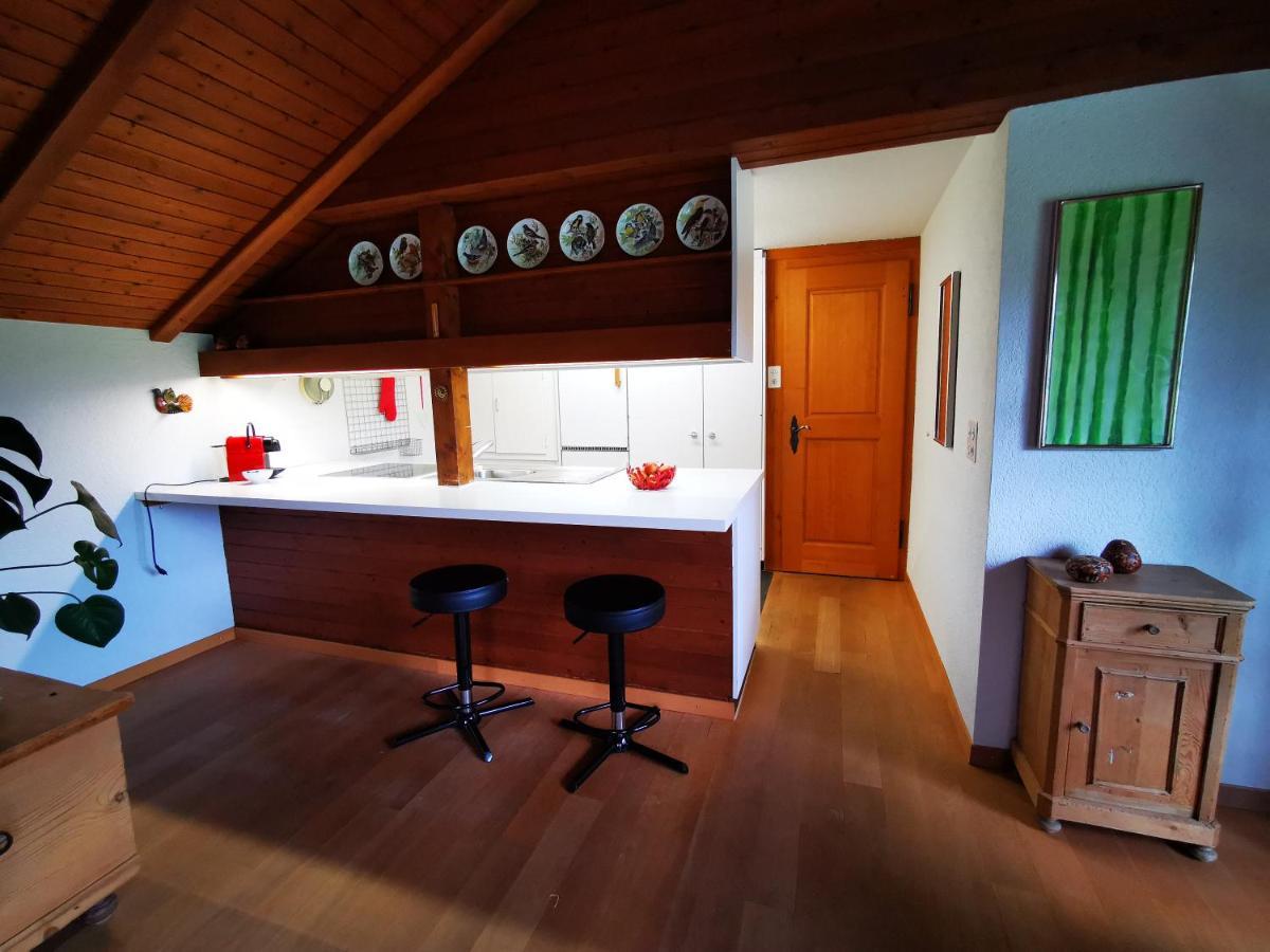 Marmottin Apartment Lucerne Ngoại thất bức ảnh